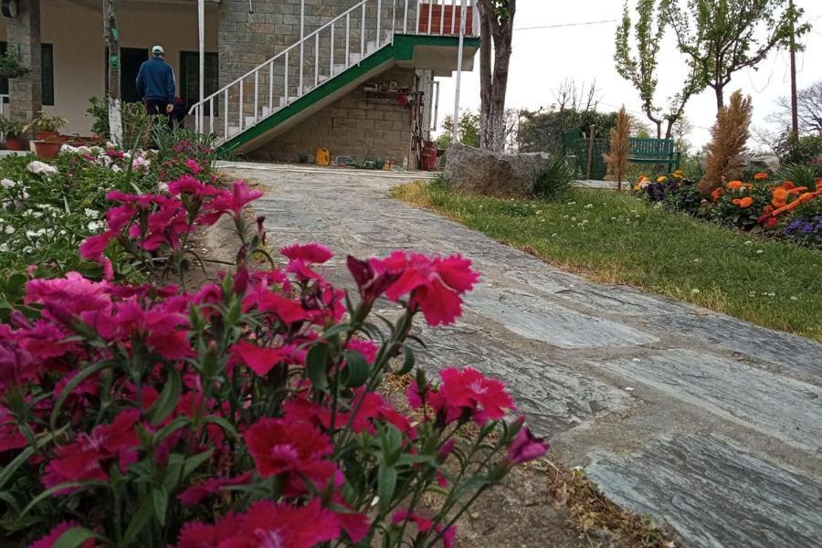 Nagri Resort Палампур Экстерьер фото