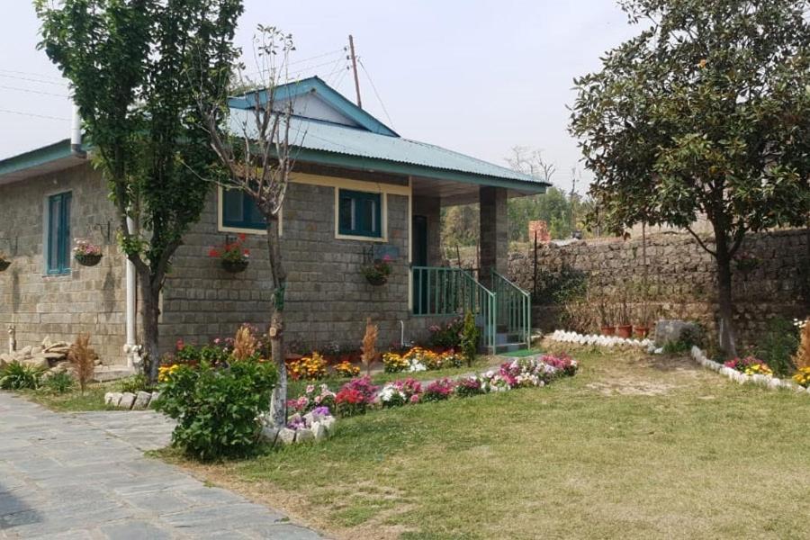 Nagri Resort Палампур Экстерьер фото
