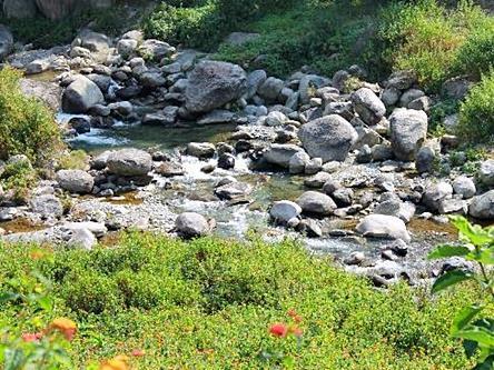 Nagri Resort Палампур Экстерьер фото